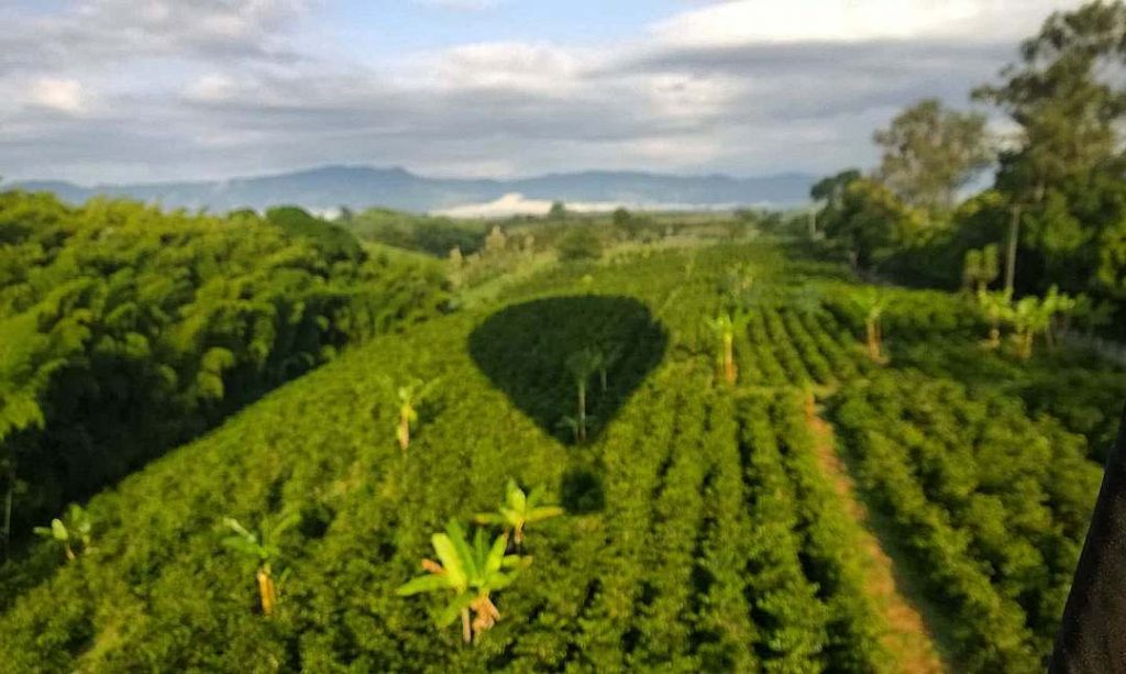 La serenidad interior es la fuerza de la vida. @despertando_consciencia @globoscolombia