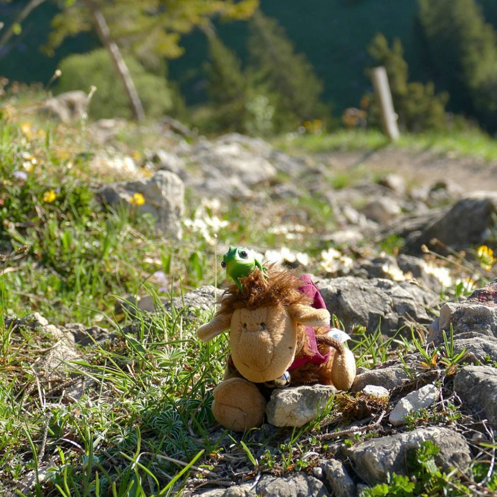 On our hiking excursions we sure have some rough and climbing parts Pedro takes…