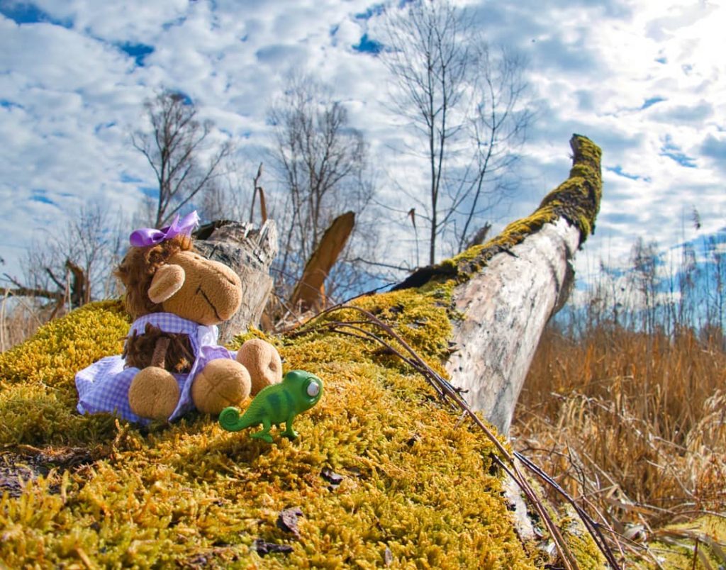 This is our entry for this weeks #plushiecolourquest #mossyplushies hosted by @happyugly … Unfortunately…