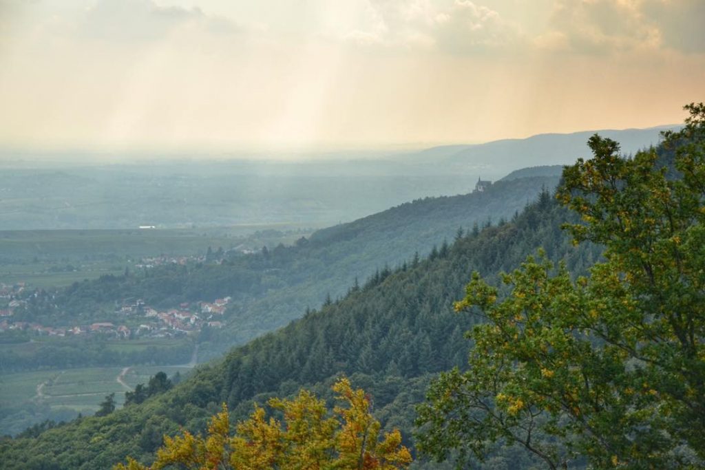 Hiking and wine in Rheinland-Pfalz, Germany autumn 2017. #rheinlandpfalz #germanysworld #lifeofgermany #travel_2_germany #visitgermany #germanytourism…