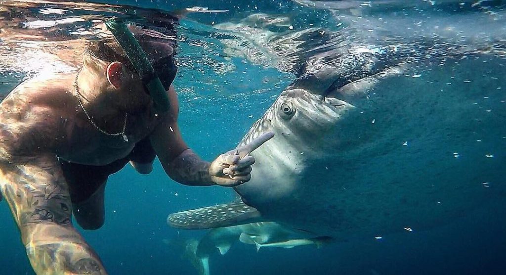 ????????Philippines 2017???????? SNORKELING WHITH MY BRO WHALESHARK #philippines #philippines???????? #travel #travelblogger #travelphotography #traveller #oslob&hellip;
