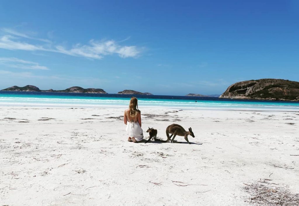 Beachday with friends ️ #luckybay #esperance #westernaustralia #perthtocairns #roadtrip #kangaroo #baby #cute #wildlife #wildlifephotography…