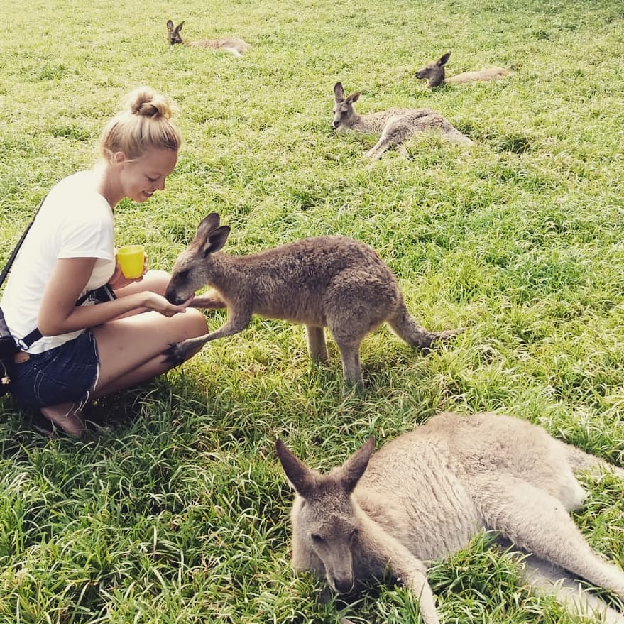 I ️ kangaroos #kangaroo #cute #wildlife #australiananimals #australianwildlife #seeaustralia #stunningjourney #animalplanet #wildgeography #animalsofinstagram #baby&hellip;