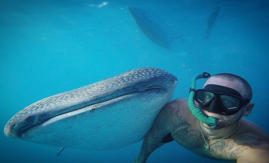 ANOTHER LEVEL. WHALE SHARK SELFIE. ONLY IN PHILIPPINES. #snorkeling #whaleshark #oslobcebu #cebuphilippines #travelph #travelfeature&hellip;