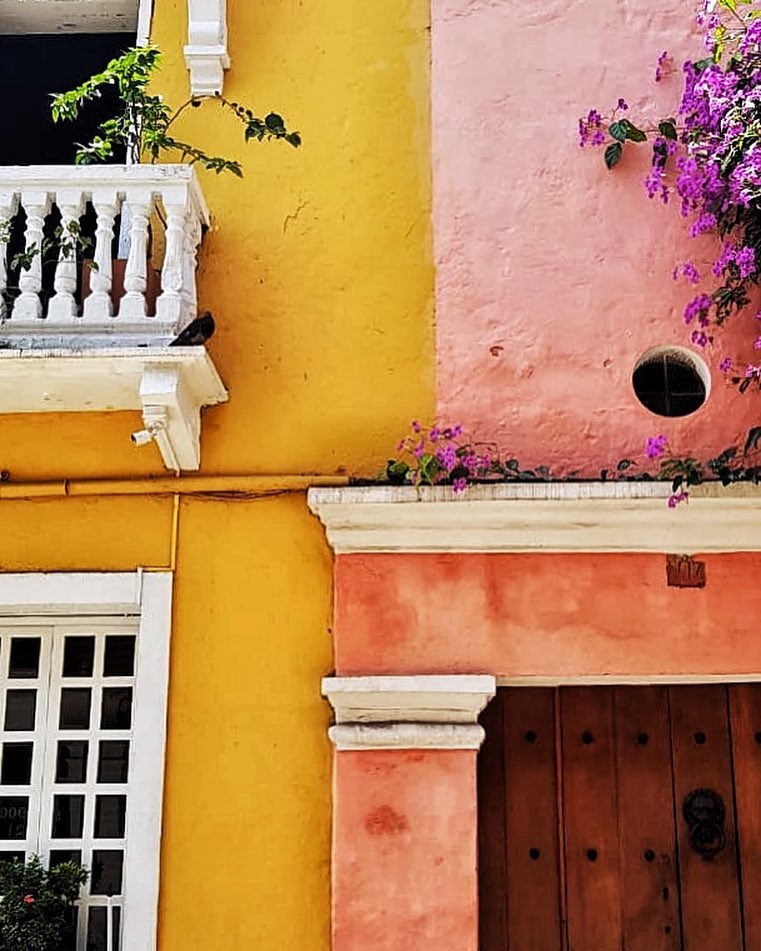 Flowers matching your house color. This is no amateur job. #bnesimppl