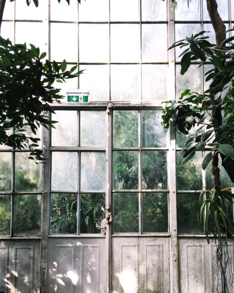 green oasis