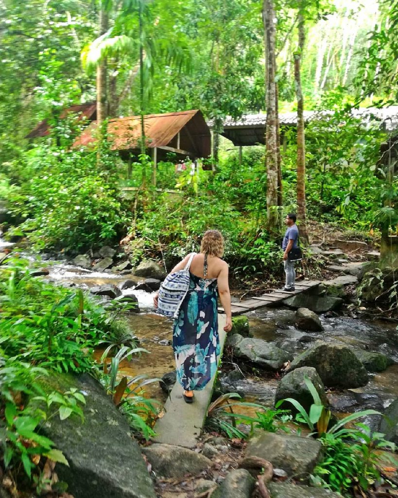 El inmenso y hermoso verde de los bosques tailandeses. The beautiful green of Thailand.,a&hellip;