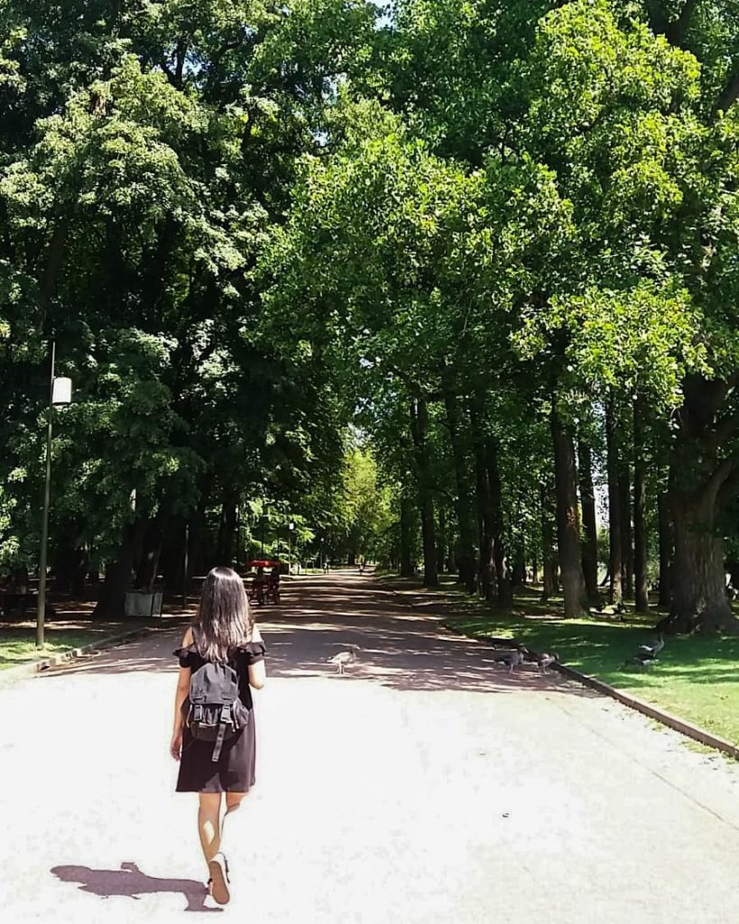 In love with this huge parc . . . #travels #france #travelphotography #globetrotter #travellingthroughtheworld&hellip;