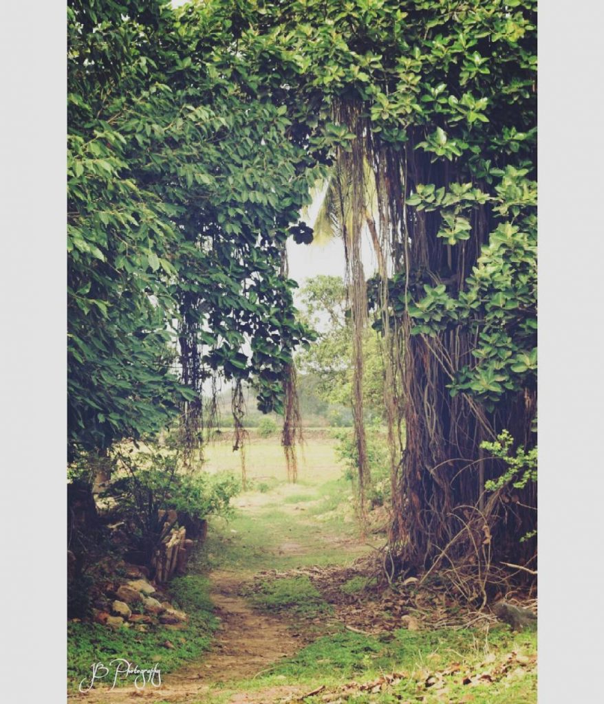 Nature #nature #naturelovers #landscapephotography #landscape #photographyclub #photographyislife #photographyhub #farm #fabclickz #indiaphotographyclub #instagram #instagujarat #exploregujarat…