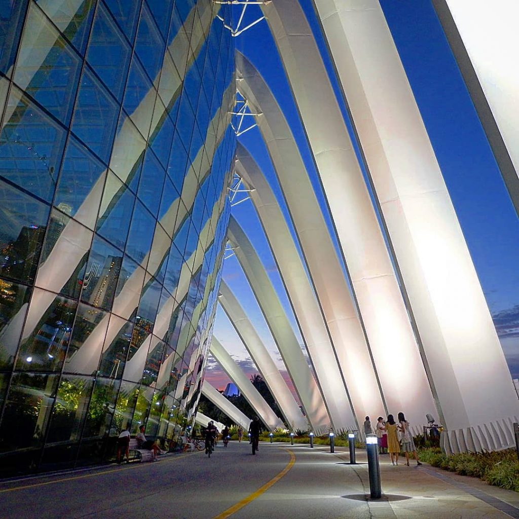 Pollen ???????? #travelto #sourcedadventures #mustdotravels #travelingsnaps #theglobewanderer #livelovetheworld #travel_awesome #straythecourse #nomadnificent #vibetravel #wanderlust #backpackersanctuary&hellip;