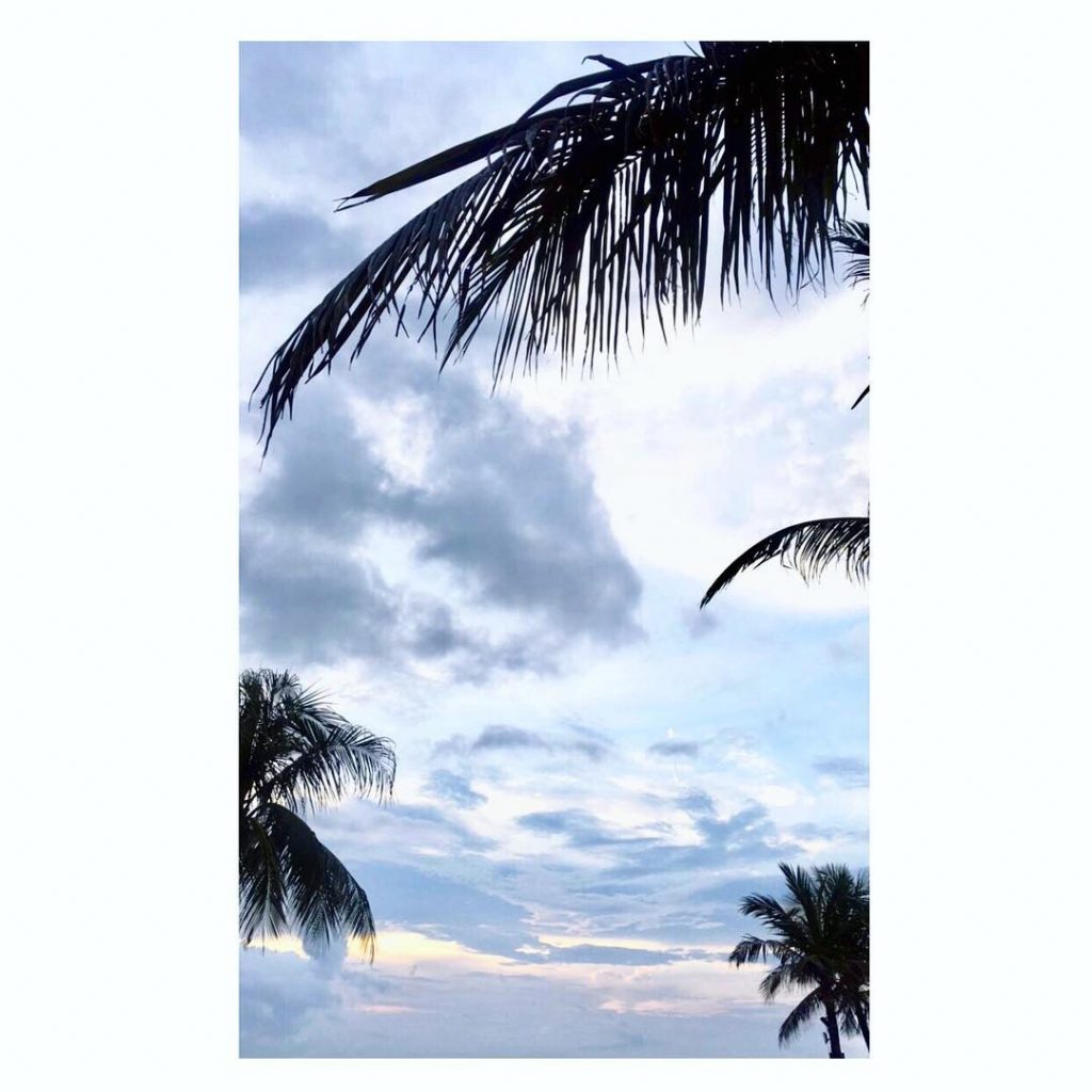 ~ Mornings under the tree~ . . . #parisawanderlusting #wanderlust #traveler #travelgirl #solotravel #wanderer&hellip;