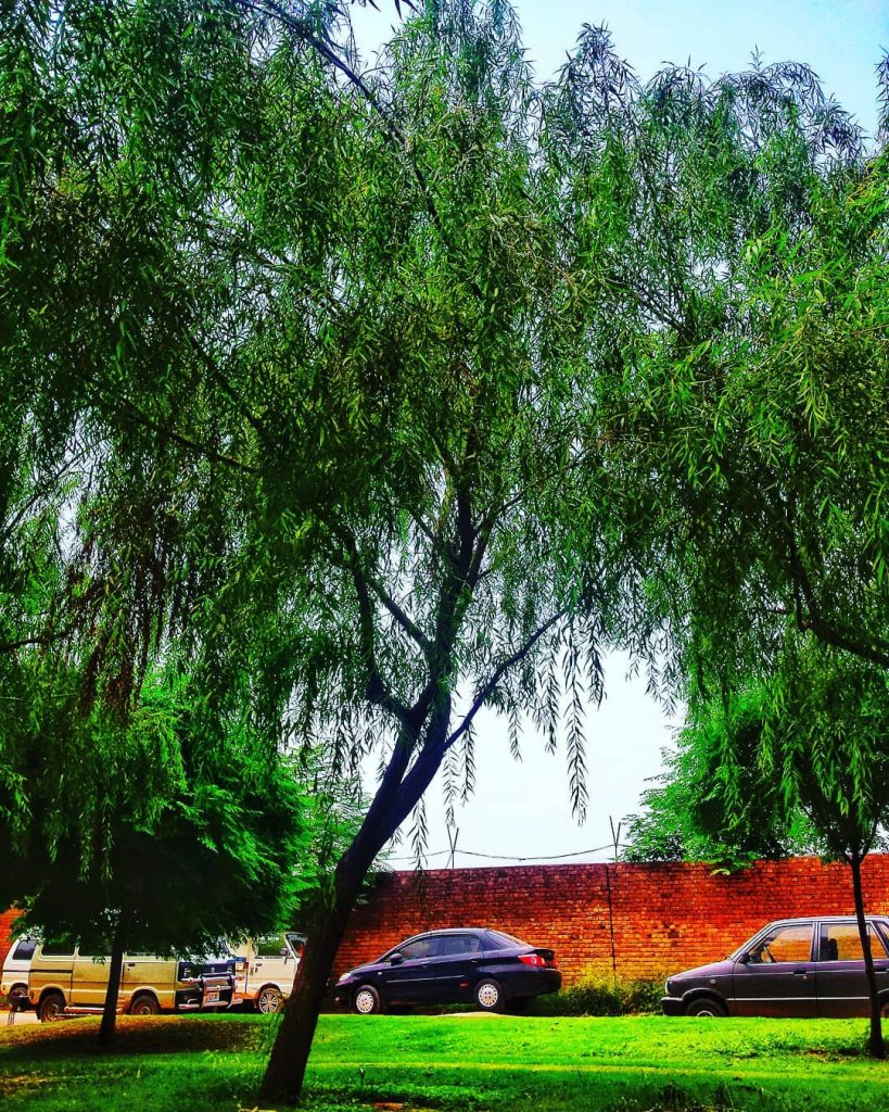 تم نے جانا ہے، مجھے پہچانا نہیں.. میں تو شب فراق ہوں ایک،&hellip;