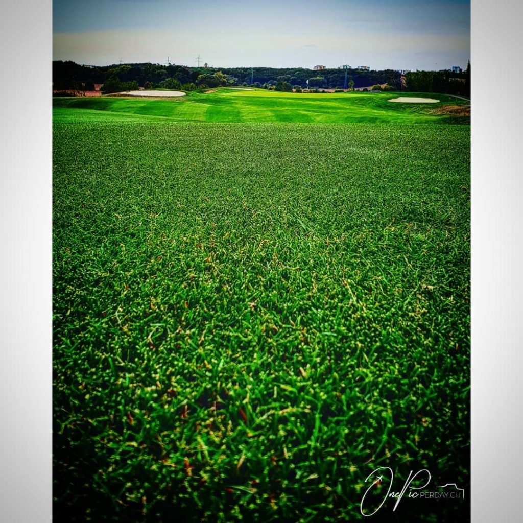 Our #hobby, our #holiday, my #homeland! ️‍️‍️???????? #lawn #rasen #travnik #golf #golfresortblackbridge #sport #praha&hellip;