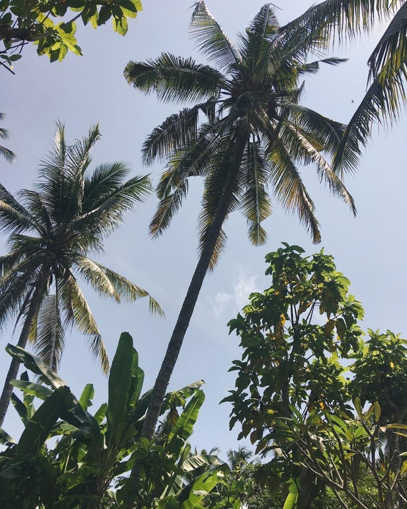 Favourite print ___________________________________ #padangbai #bali #eastbali #indonesia #beautifuldestinations #passionpassport #femmetravel #ourtravelness #travelphotography #wonderful_places #travelrepost…