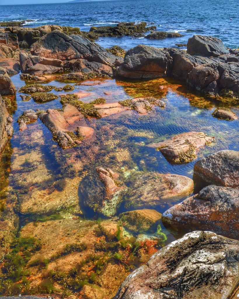 Took a walk along the Ship Harbor Trail in #acadianationalpark – famous for its…