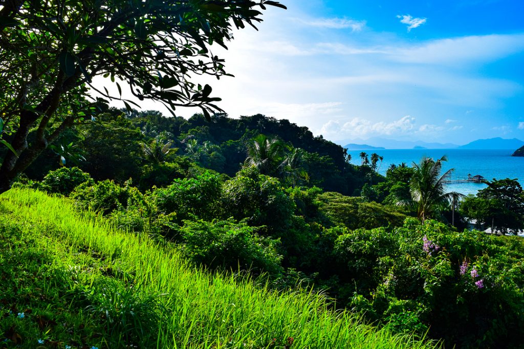 A little throwback to Koh Mak, the first island we visited. I’m still in&hellip;