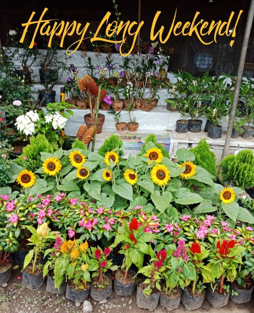 Mood! :) :) :) . . #travelholic #travelers #travelbag #travellers #traveling #travelbug #travelpic #travelstoke&hellip;