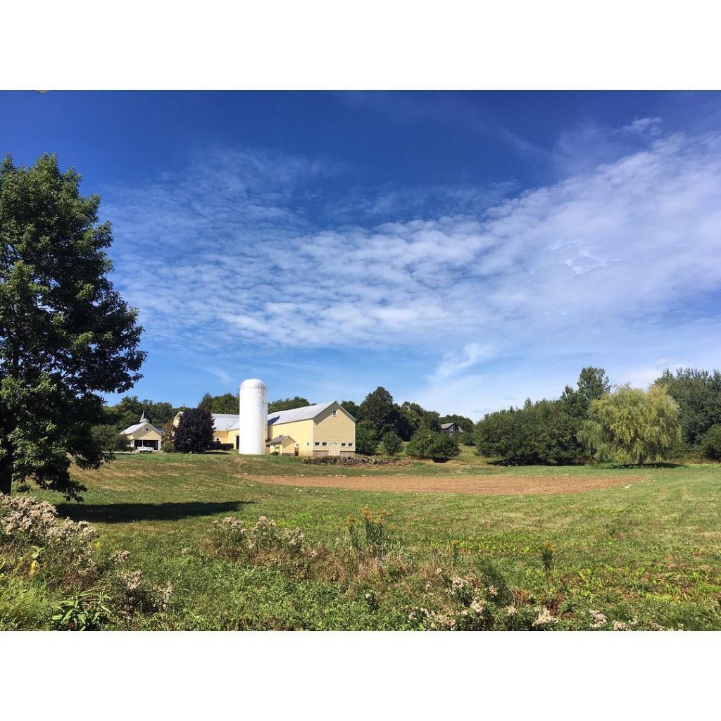 Our little spot on Randhill Road ️