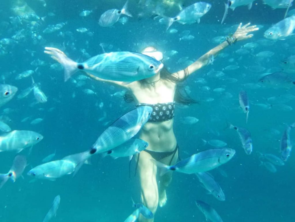 Caprera, Magdalena Islands, Sardinia, Italy • ESP》Nunca había visto tantos peces juntos y tan…