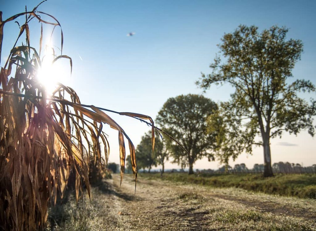 #sunset #travelgram #instatravel #tourist #travelphoto #amazing #arountheworld #worldcaptures #tourism #worldplaces #moment #bnesimppl #photoftheday #circolofotograficopalmarino&hellip;