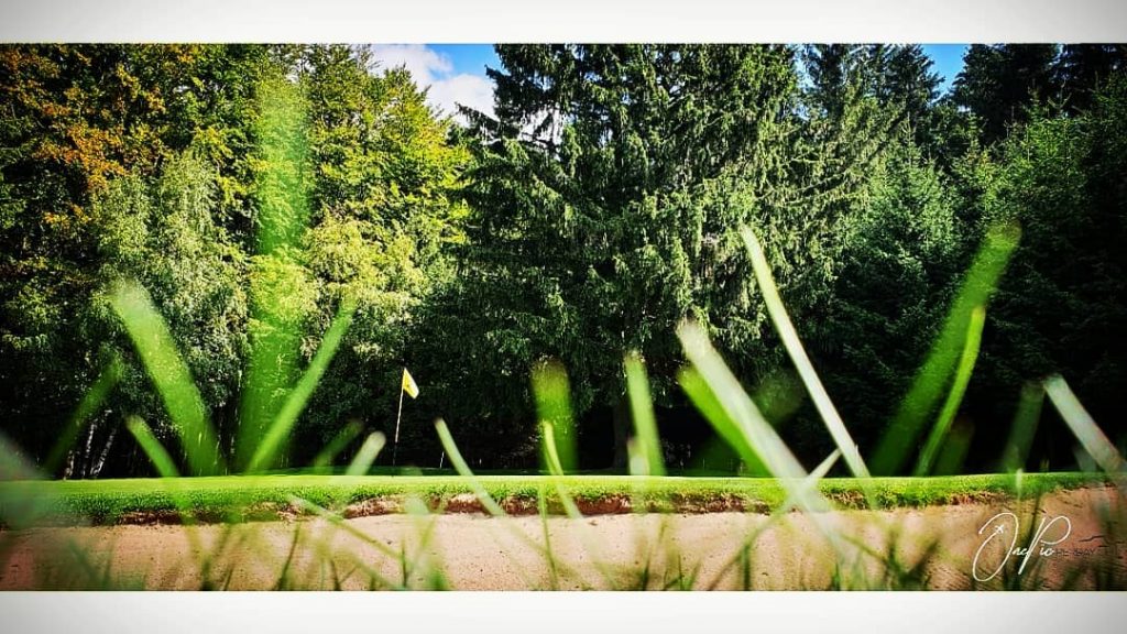 The last day in Kořenec (this year)! Our #hobby, our #holiday, my #homeland!️‍️‍️???????? #lawn…