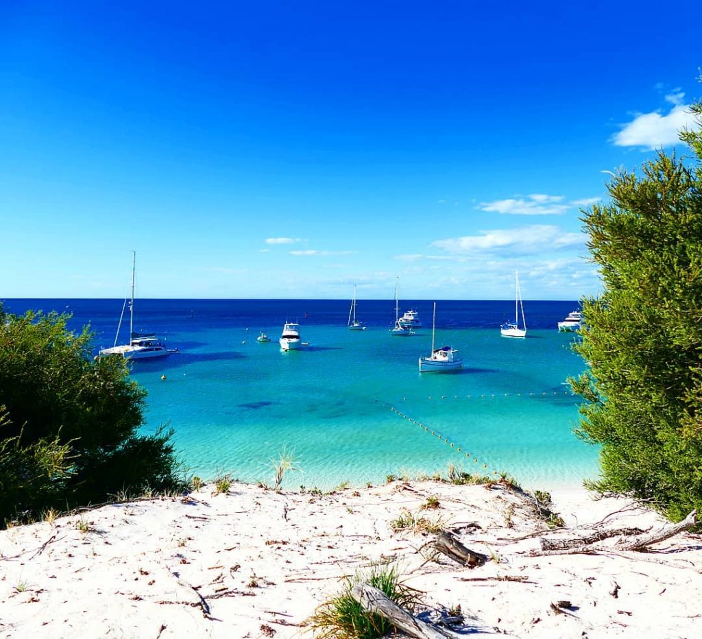#rottnestisland #rottnest #throwback #australia #westernaustralia #perthtocairns #perth #travelphotography #travelblogger #travel #holiday #beachlife #wonderful_places #bluewater…