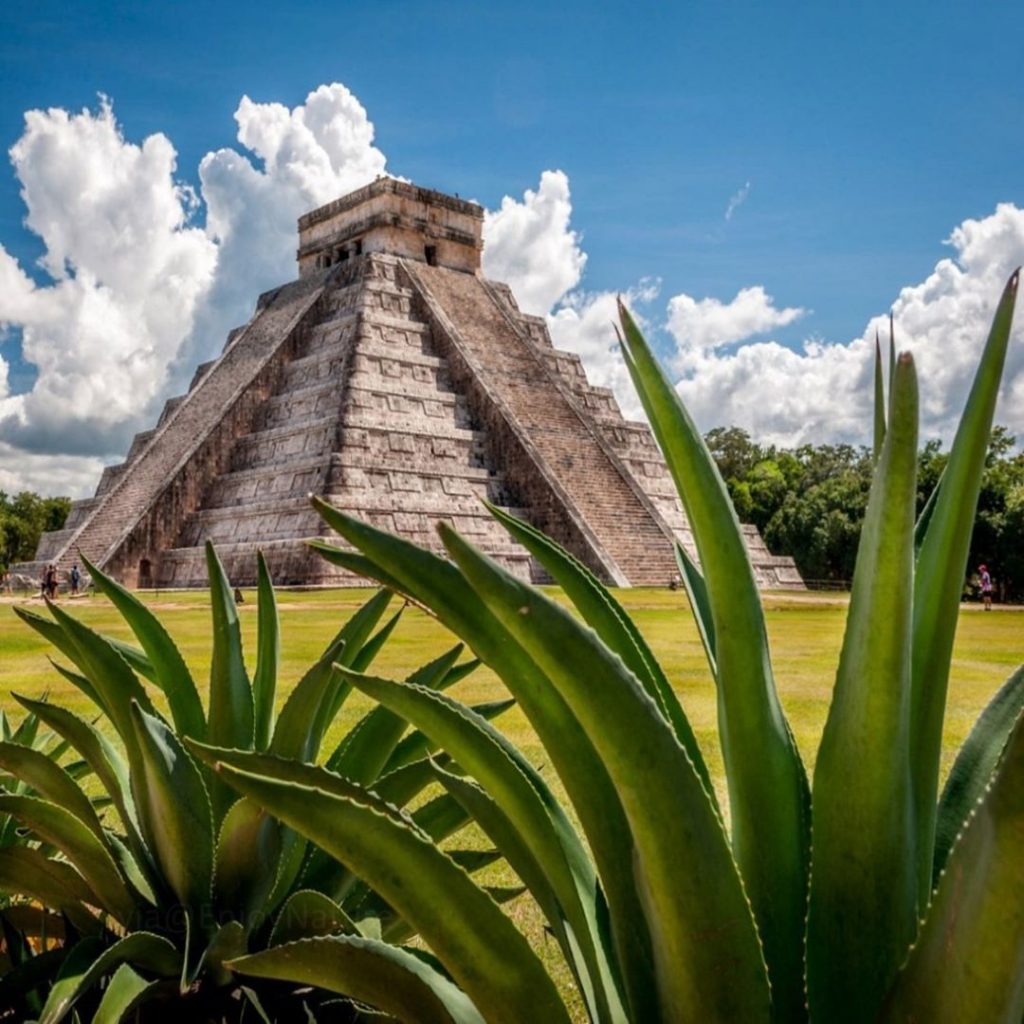 Agave Plants and Tropical Forest at Mayan Temple of Chichen Itza Mexico #landscapstyles #exklusiveshot&hellip;