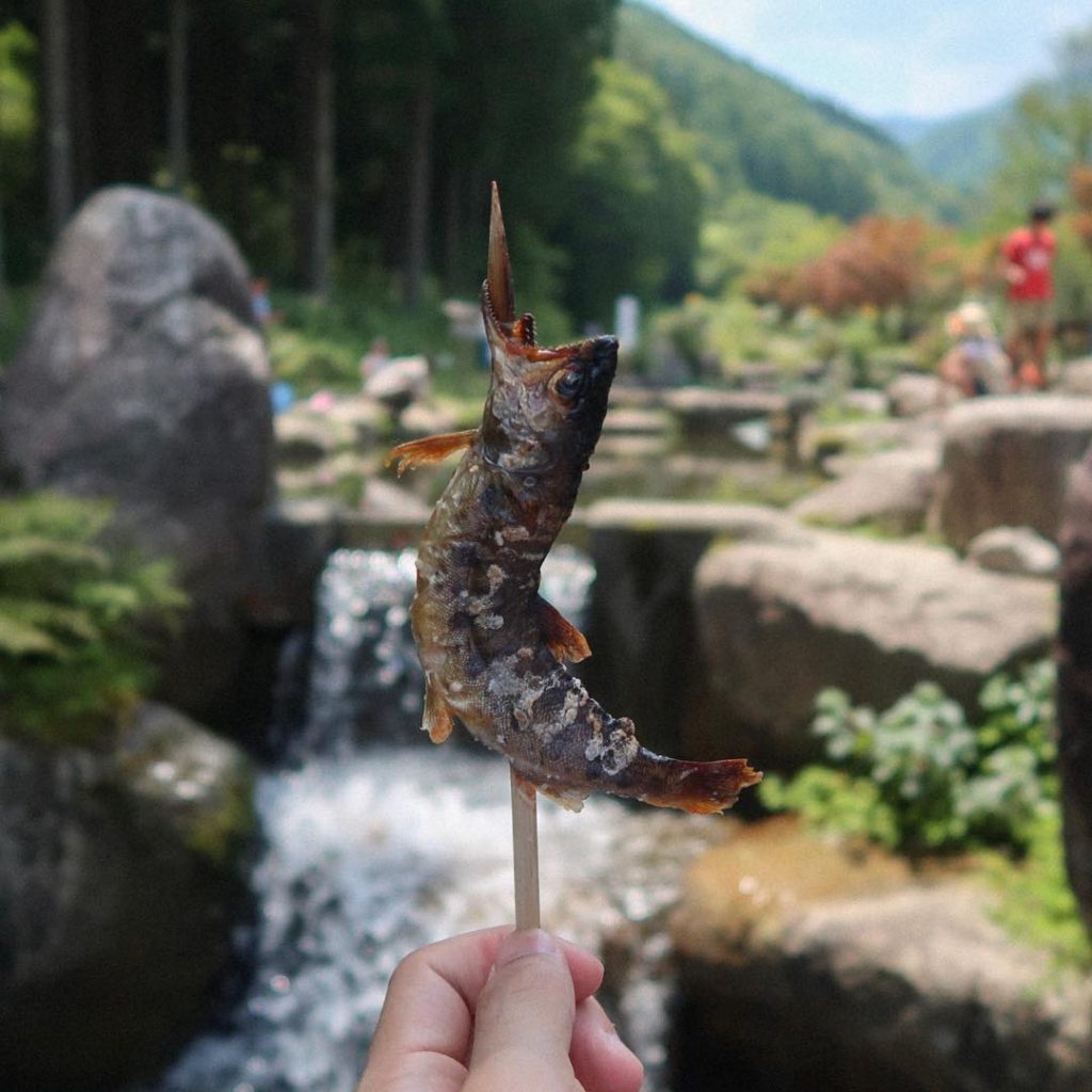 Catching natural ayu(sweetfieh) with my bare hands was so much fun???? Grilling Ayu was&hellip;