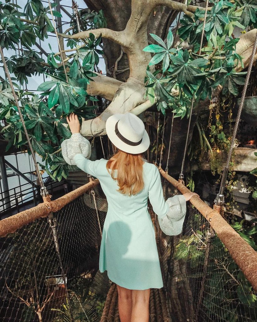 Everywhere I go I keep falling in love with trees and wanting to stay&hellip;