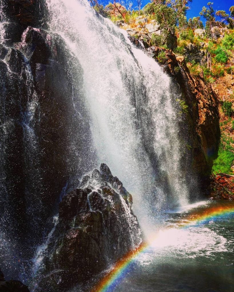 Close your eyes and make a wish – maybe you’ll find a unicorn ????…