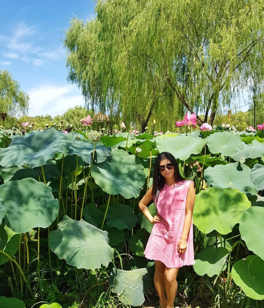 КОРЕЙСКОЕ цветение продолжается. К сожалению, я пропустила цветение лаванды, зато покачалась на качелях над&hellip;