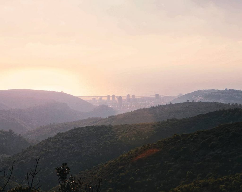 . . #Israel #cactus #lifeinisrael #israellife #haifa #mymagicalmoments #beyourself #beautifulworld #worldaroundme #beauty #dreamtrips&hellip;
