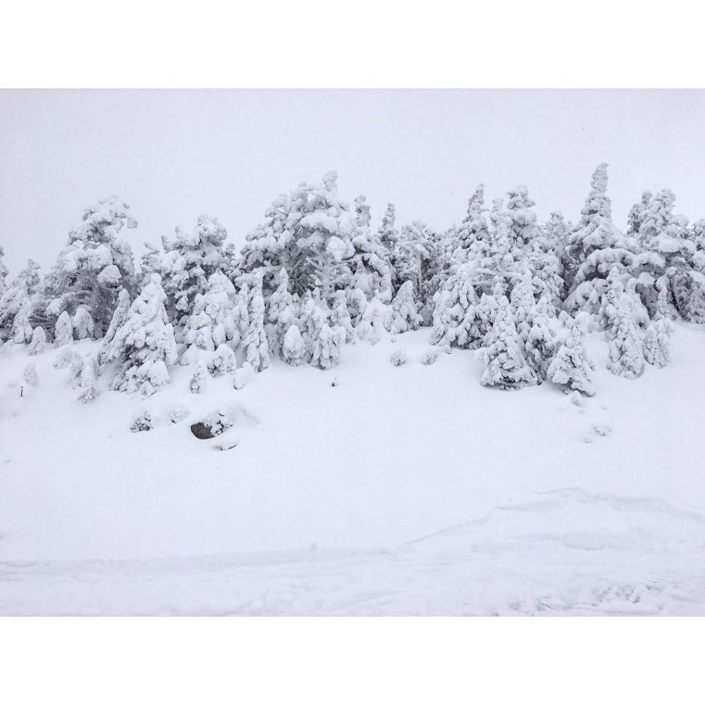 ???????????????????? for a snowy winter like this one! Alllll the exploring and scaring the…