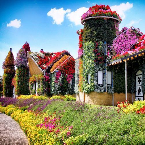 Dubai Garden #landscapstyles #exklusiveshot #visualsofearth #beautifuldestinations #ilovetravel #amazing #hermanosviajeros #iloveamsterdam #igersnetherlands #winterlove #visitamsterdam #bnesimppl&hellip;