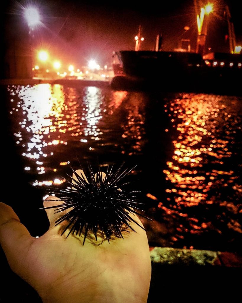 Hay pero ven nomás tantito voy a enseñarte un pescadito Que al nadar, puede…