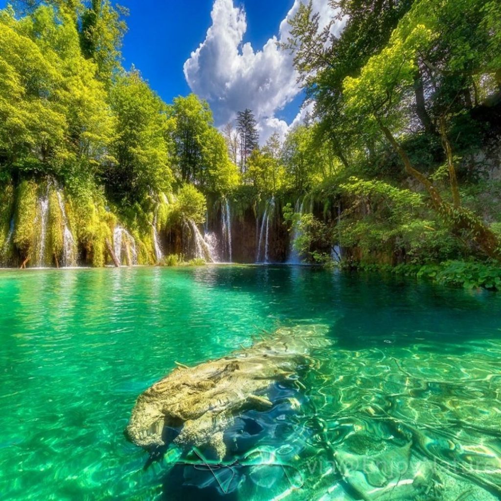 Beautiful Green Forest and Waterfall in #Europe #amazing #hermanosviajeros #iloveamsterdam #igersnetherlands #winterlove #visitamsterdam #bnesimppl&hellip;