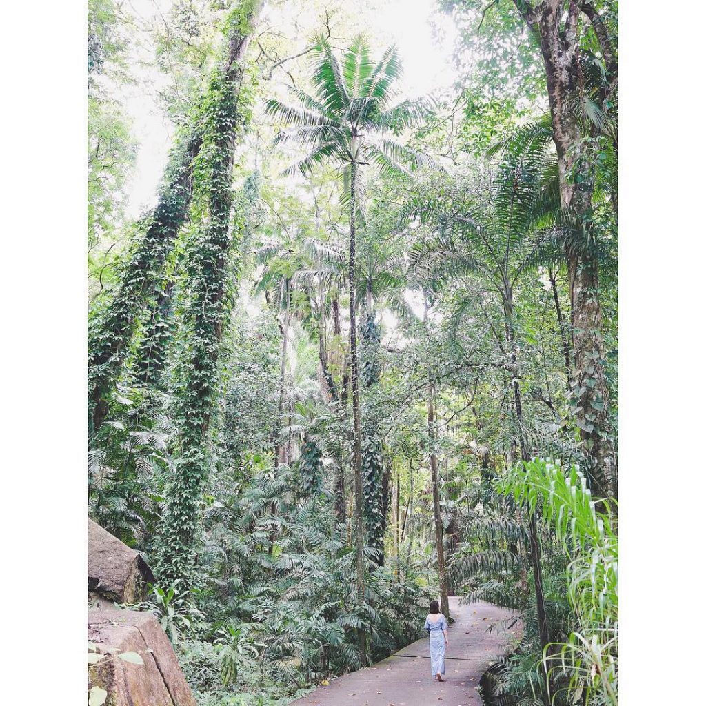 The first thing to greet you as you enter the #gardens is the sight&hellip;