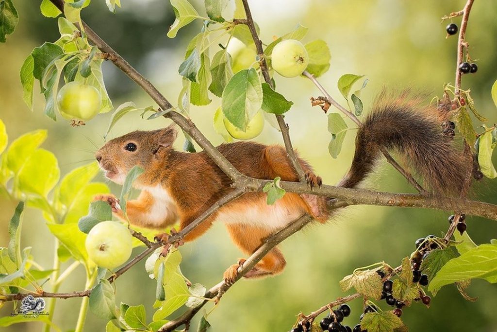 Amazing #landscapstyles #exklusiveshot #visualsofearth #beautifuldestinations #ilovetravel #amazing  #hermanosviajeros #iloveamsterdam #igersnetherlands #winterlove #visitamsterdam #bnesimppl #loves_amsterdam&hellip;
