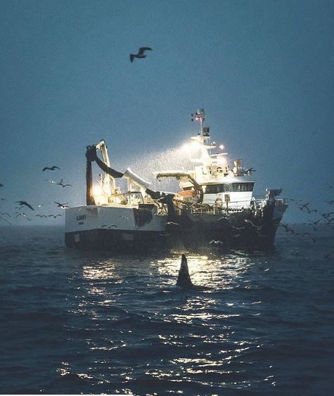 A dramatic morning on the high seas of Norway. The light glittered across the&hellip;