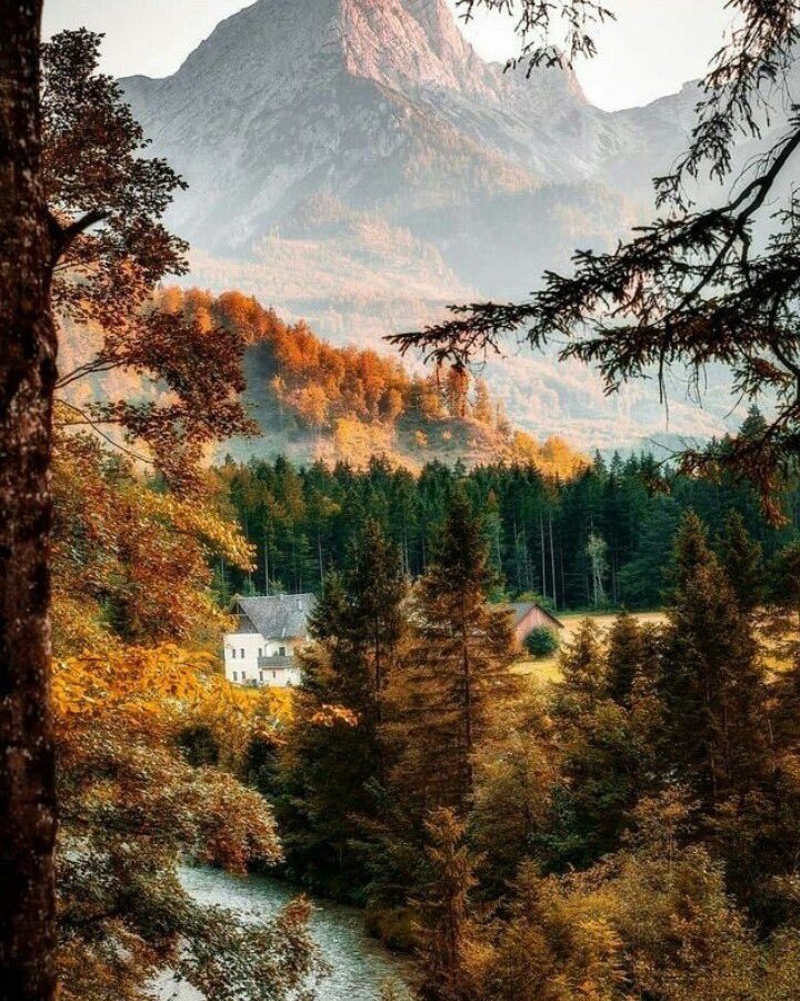 Almsee, Austria #landscapstyles #exklusiveshot #visualsofearth #beautifuldestinations #ilovetravel #amazing #hermanosviajeros #iloveamsterdam #igersnetherlands #winterlove #visitamsterdam #bnesimppl…