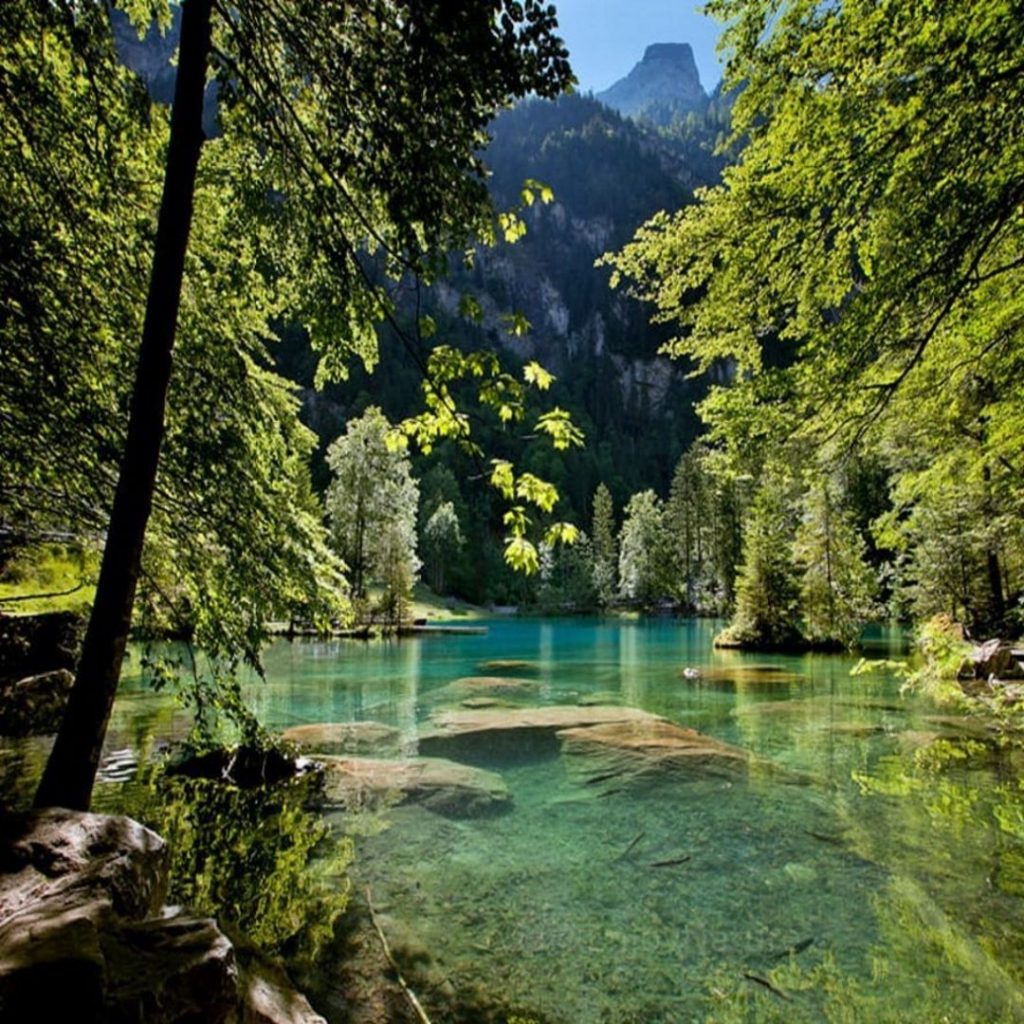 Green Summer Forest and Alpine Lake in the European Alps #landscapstyles #exklusiveshot #visualsofearth #beautifuldestinations…