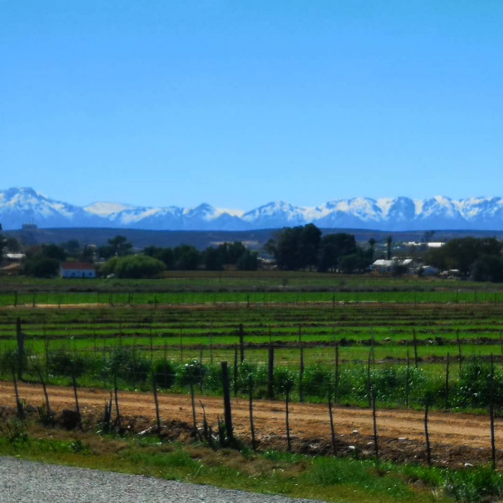 Beautiful views of the snow capped Swartberg mountains driving from George to Oudtshoorn ????????️&hellip;