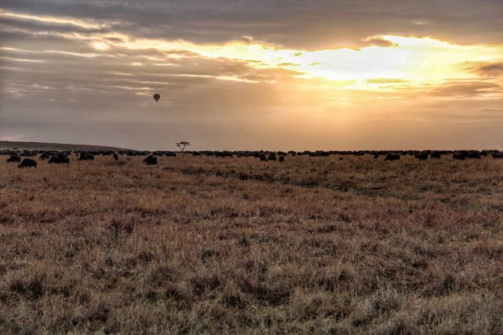 A final sunrise landscape on the final day. A tribute to a fantastic trip…