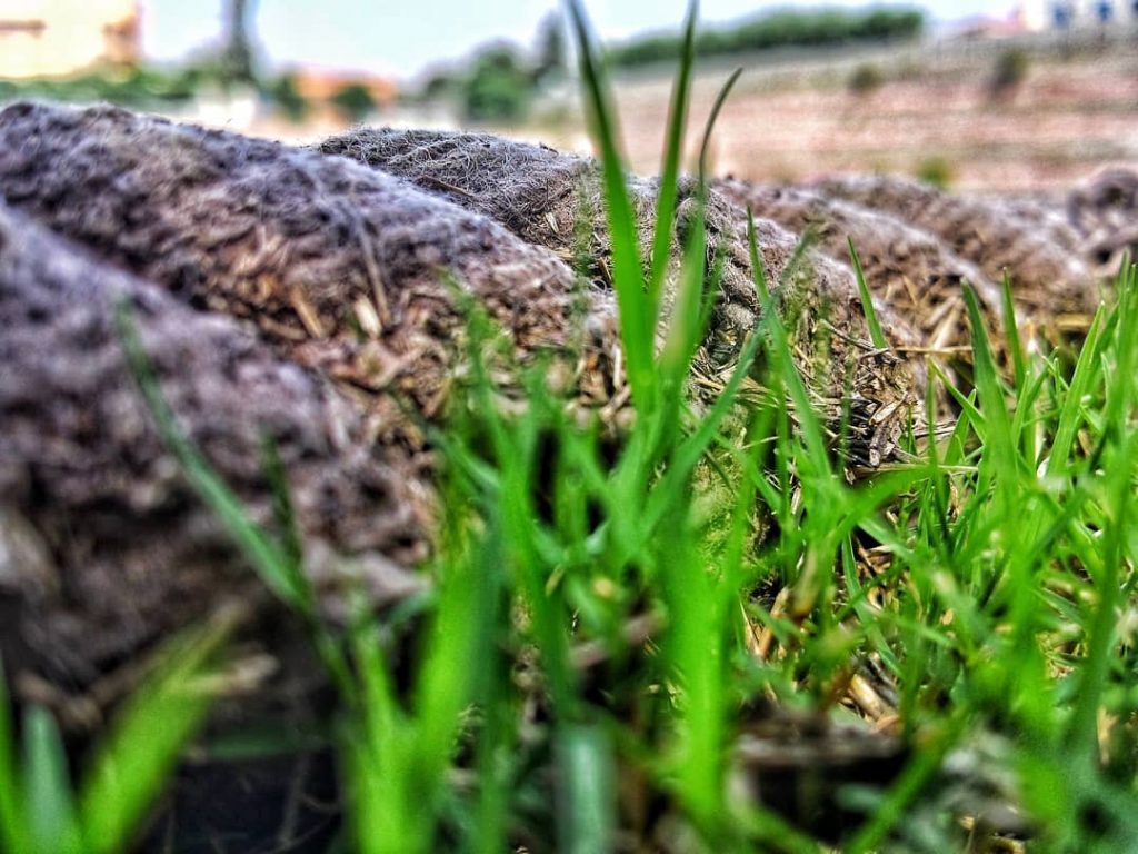 One of the random shots i take