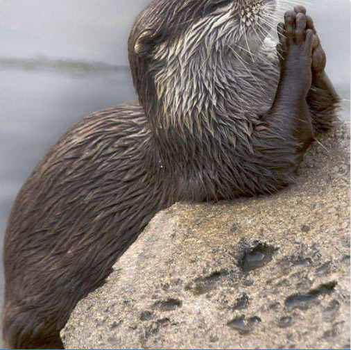 God pls everyone happy #landscapstyles #exklusiveshot #visualsofearth #beautifuldestinations #ilovetravel #amazing #hermanosviajeros #iloveamsterdam #igersnetherlands #winterlove&hellip;