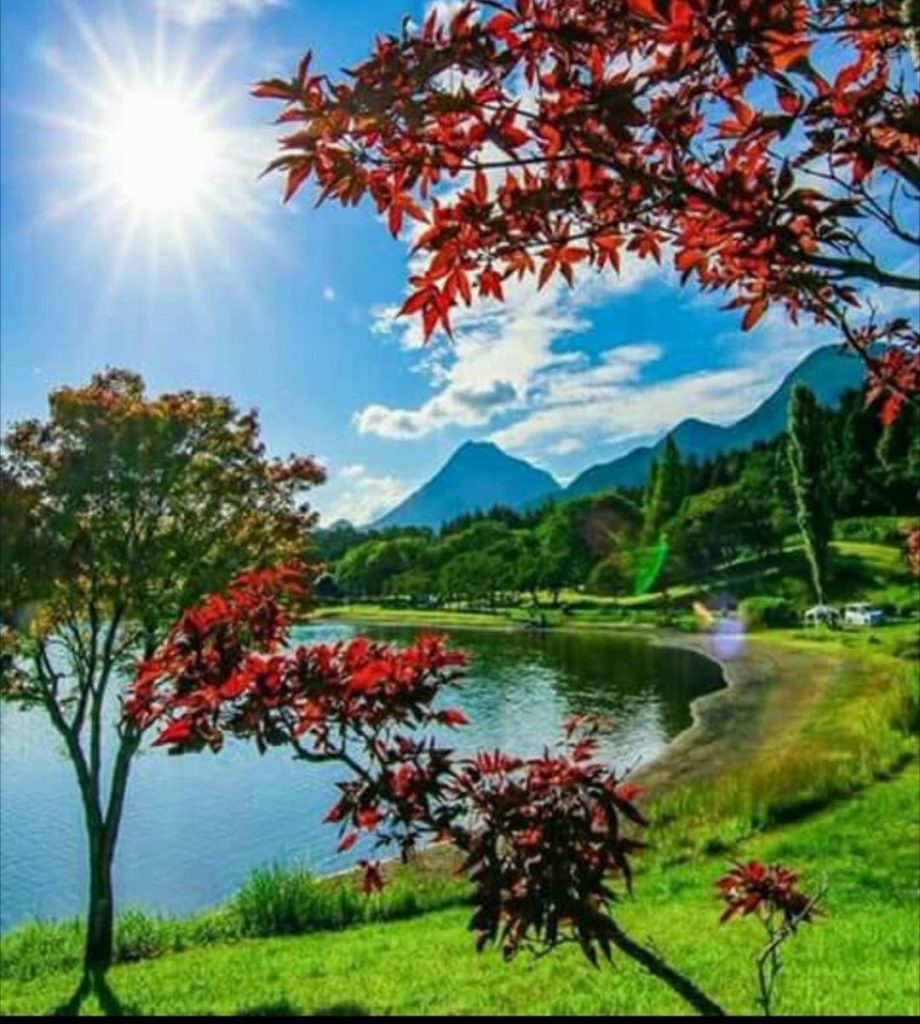 Beautiful Nature #landscapstyles #exklusiveshot #visualsofearth #beautifuldestinations #ilovetravel #amazing #hermanosviajeros #iloveamsterdam #igersnetherlands #winterlove #visitamsterdam #bnesimppl&hellip;