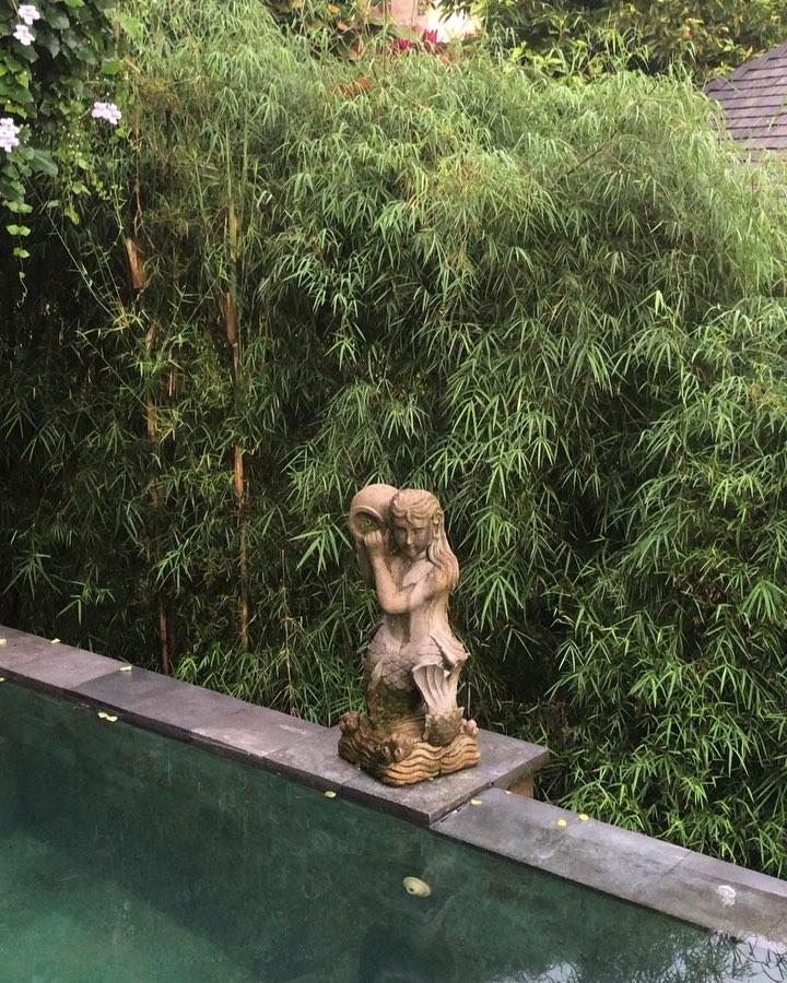 Would you ️to wake up every morning with this view over the Jungle On&hellip;