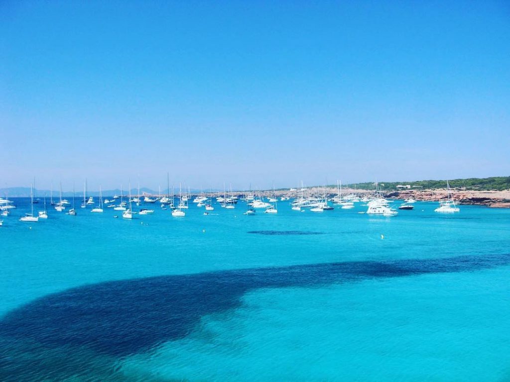 Posidonia & turquoise water, the perfect match #formentera #ibiza • • • • •…
