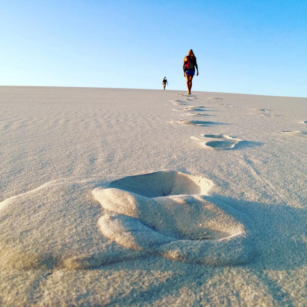 T R E K – D E S E R T O F L&hellip;