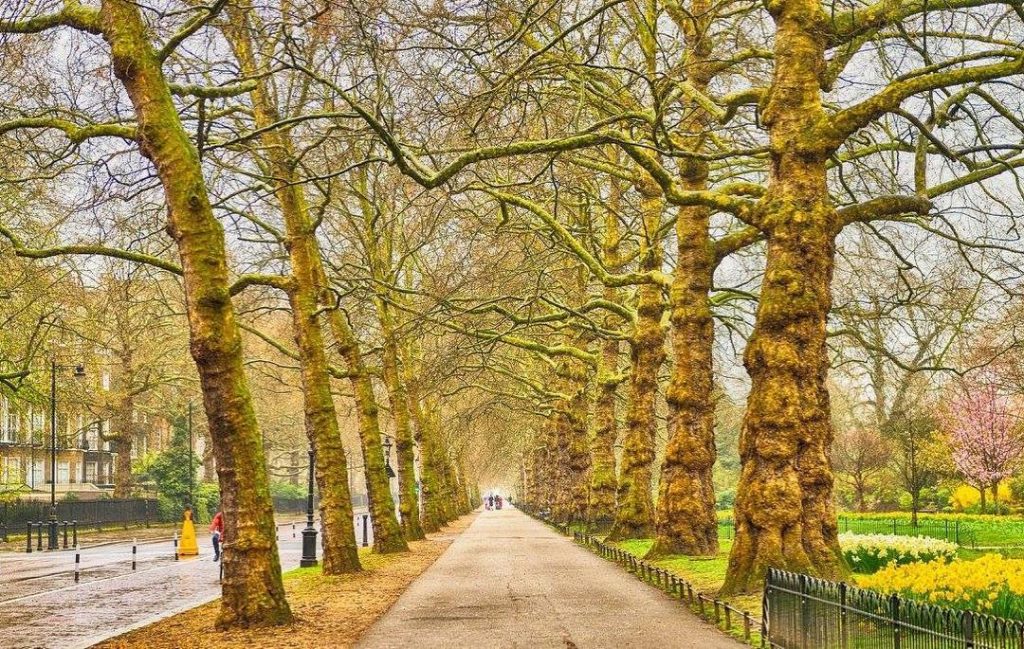 #西洋古董 #古董 #攝影師 #藝術家 #創作 #生活品味 #旅遊 #utravelhk #hkantique #sunset #photographer #antique #westernantiquehk #香港西洋古董&hellip;